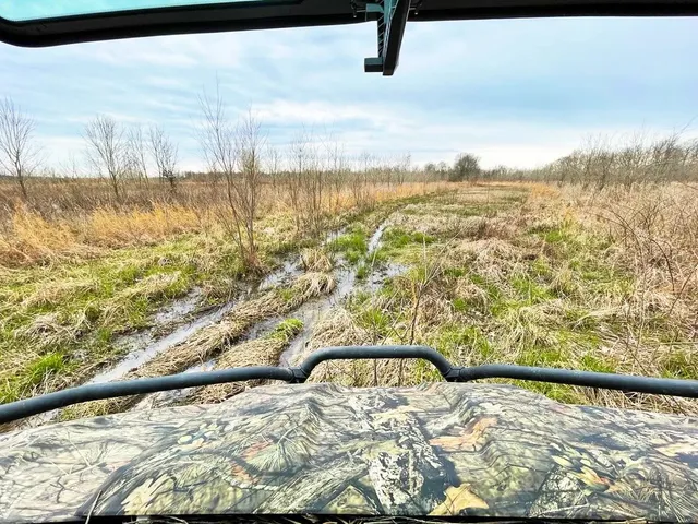 $296,000 | 0 Highway 53- Wetland Acreage, Campbell, MO 63933