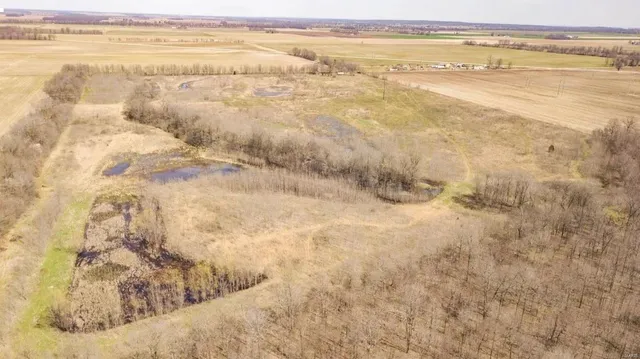 $296,000 | 0 Highway 53- Wetland Acreage, Campbell, MO 63933
