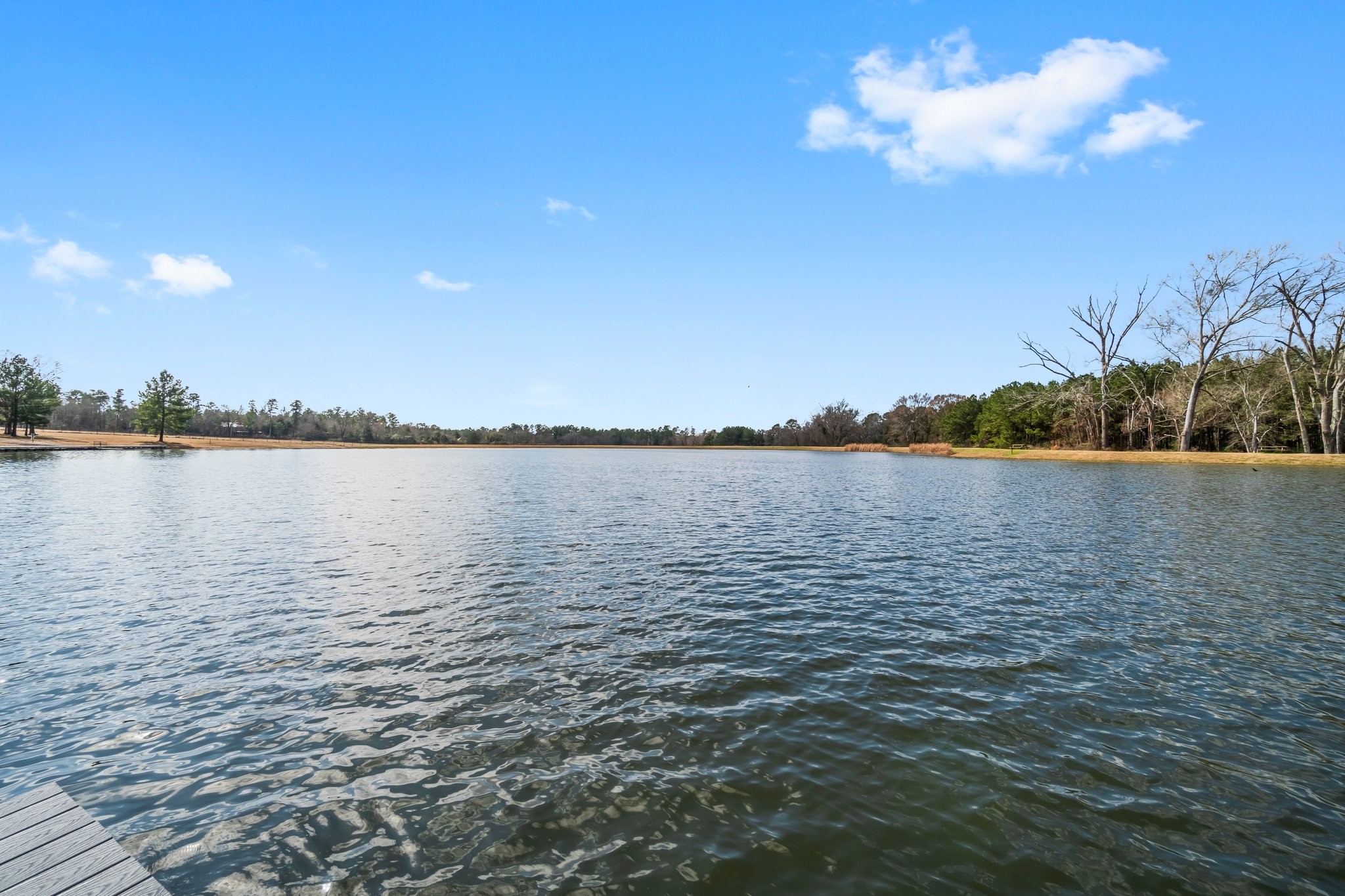 15491 Red Hawk Road Willis, TX 77378 - Photo 20 of 20 a view of a lake view