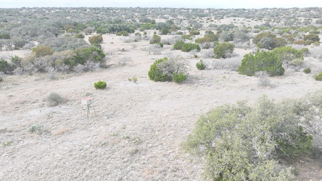 Lot 11 Other Rocksprings, TX 78880 - Photo 4 of 10