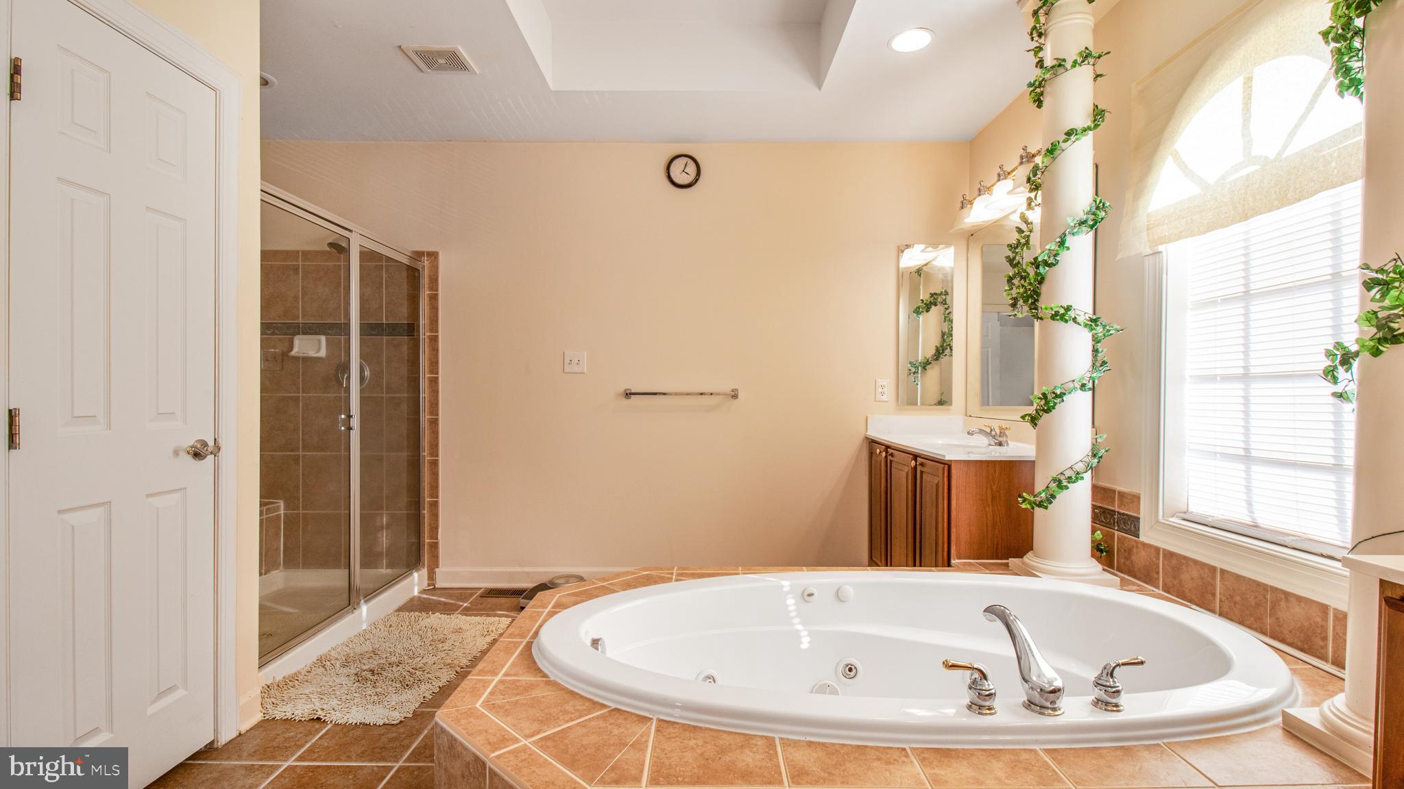 14206 Derby Ridge Road Bowie, MD 20721 - Photo 40 of 77 a white bath tub sitting next to a shower