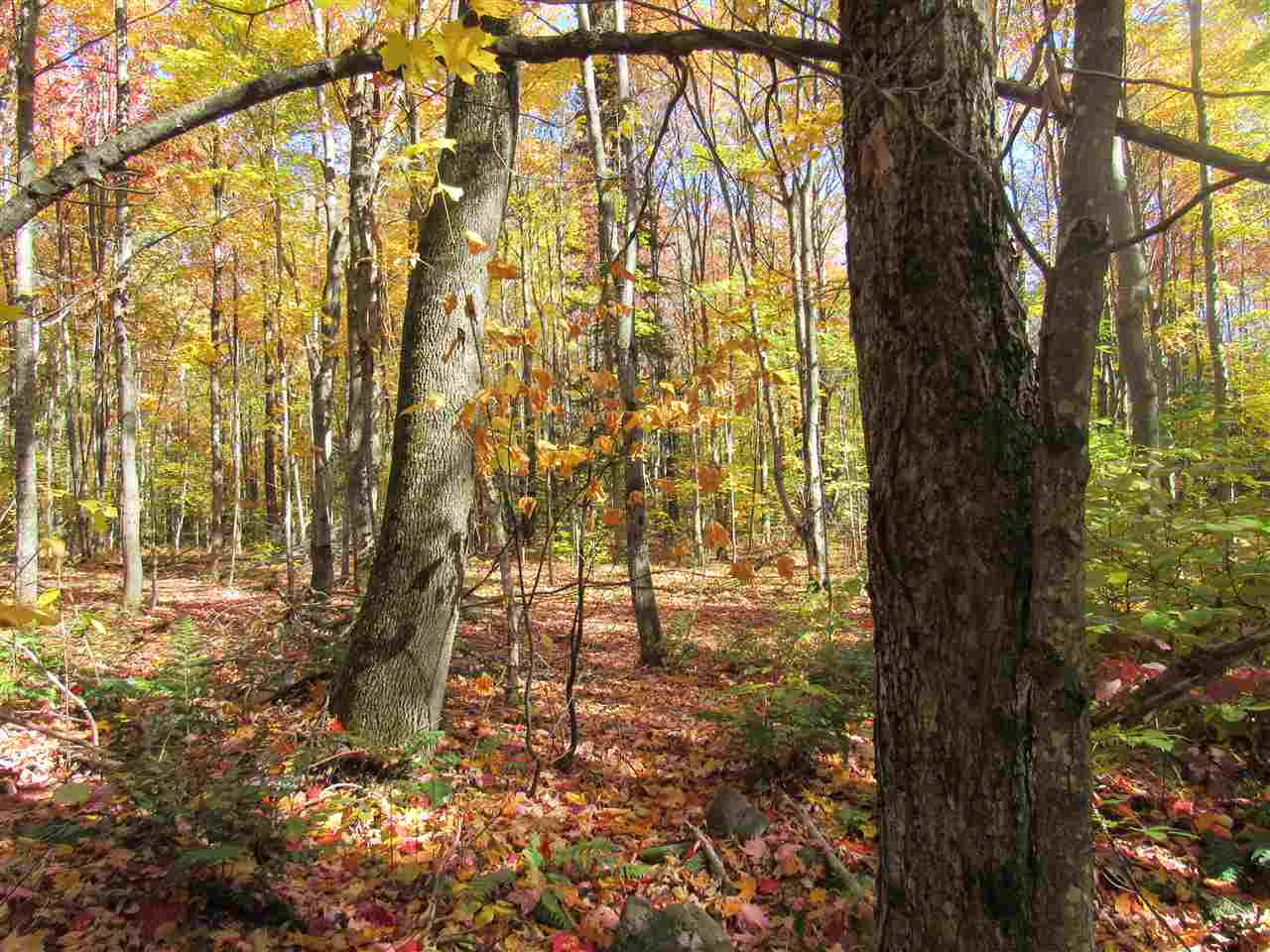 1302 Monteith Road Westfield, VT 05874 - Photo 27 of 28