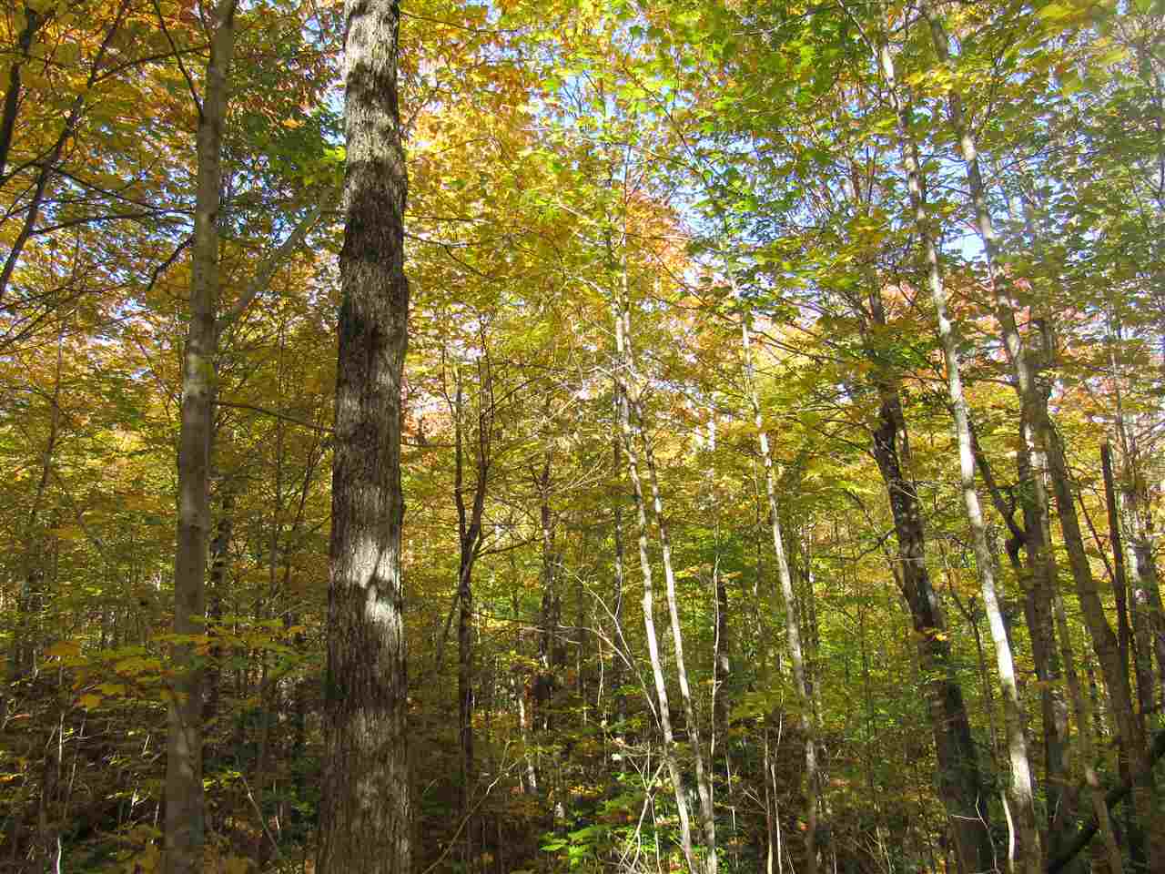 1302 Monteith Road Westfield, VT 05874 - Photo 28 of 28