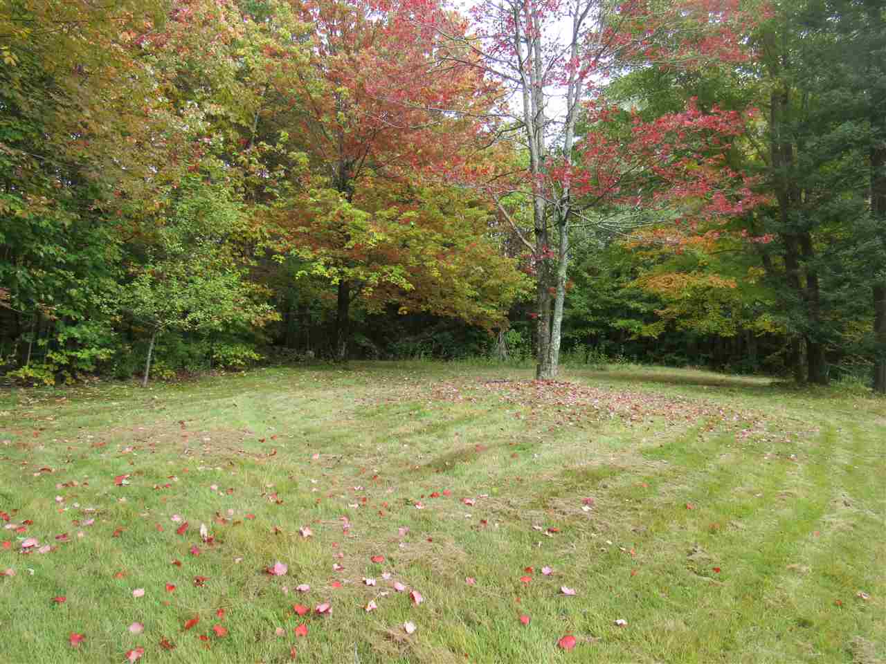 1302 Monteith Road Westfield, VT 05874 - Photo 5 of 28