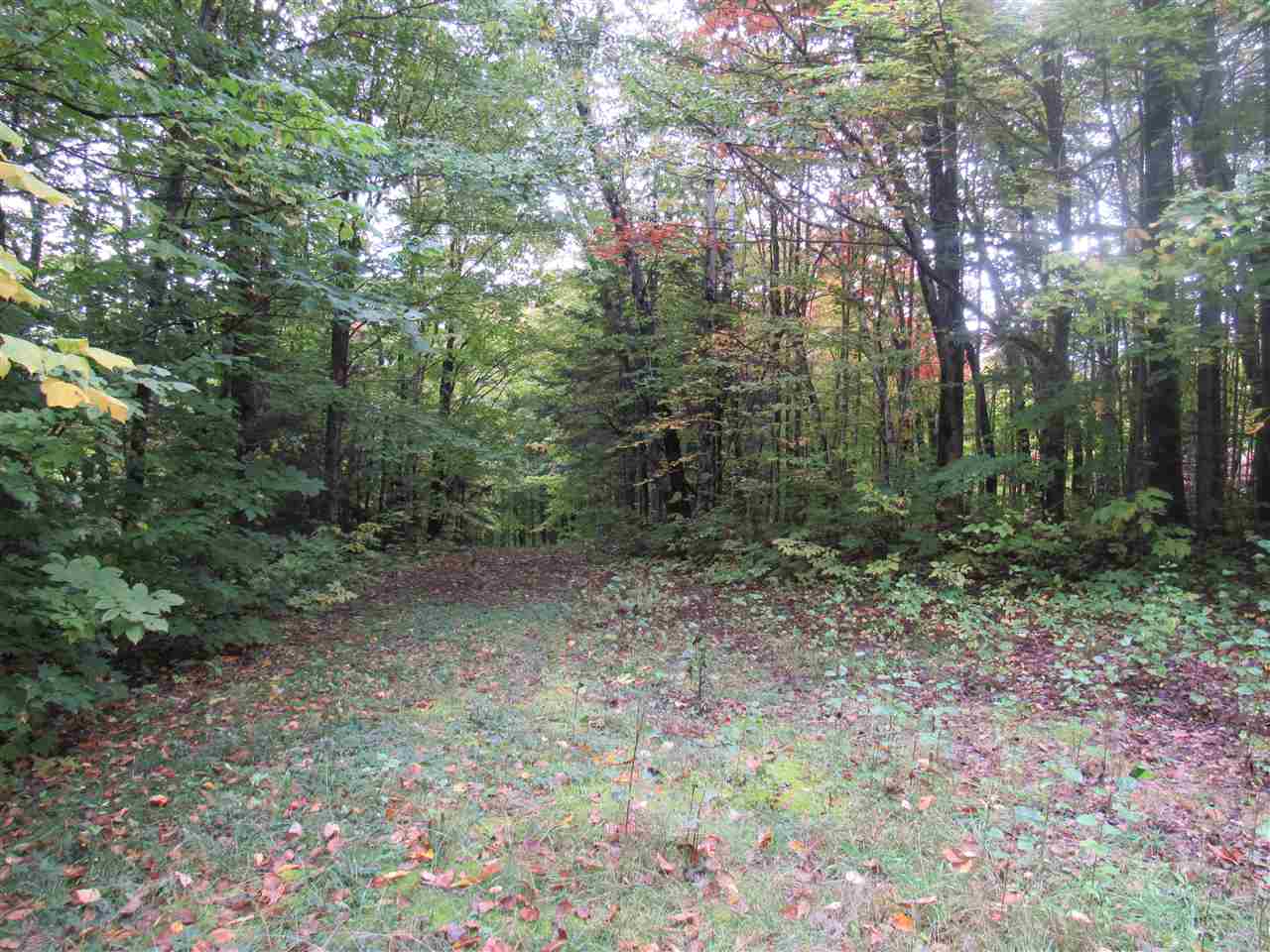 1302 Monteith Road Westfield, VT 05874 - Photo 7 of 28