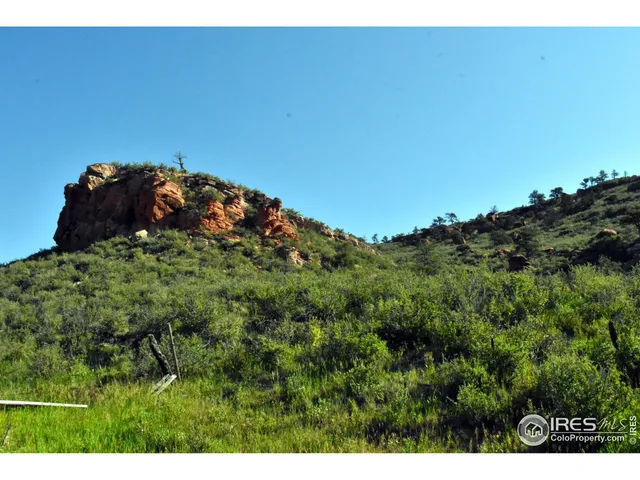 a view of a swimming pool with a garden