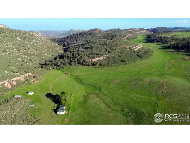 a view of a bunch of plants and a tree