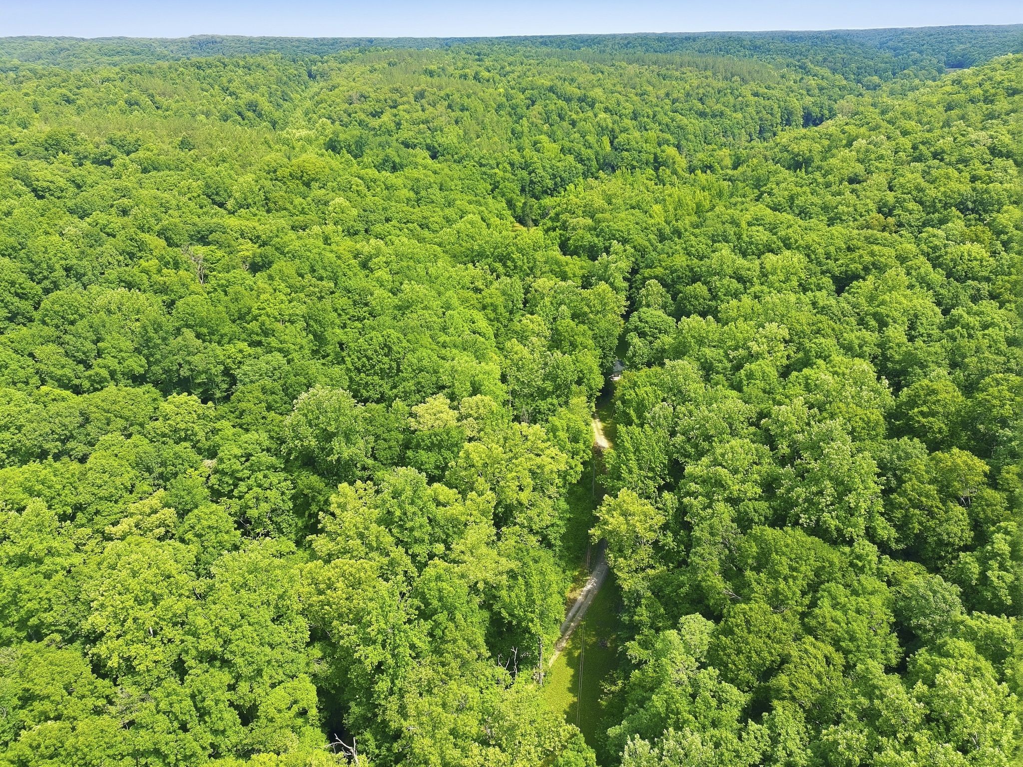 565 Clint Flowers Road McEwen, TN 37101 - Photo 51 of 51