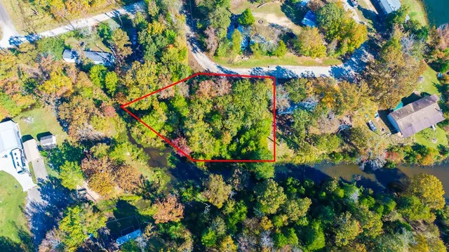 a view of flowers in a garden