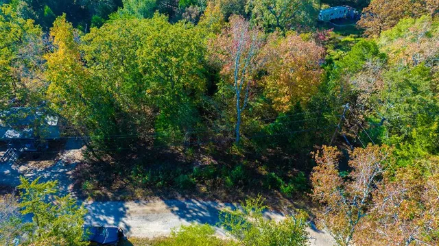 a picture of flowers