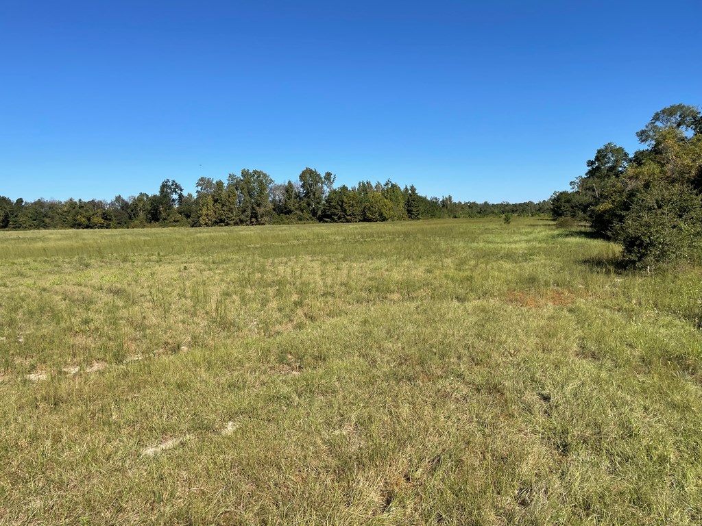 0 Hill-Ricks Road Eufaula, AL 36027 - Photo 2 of 9