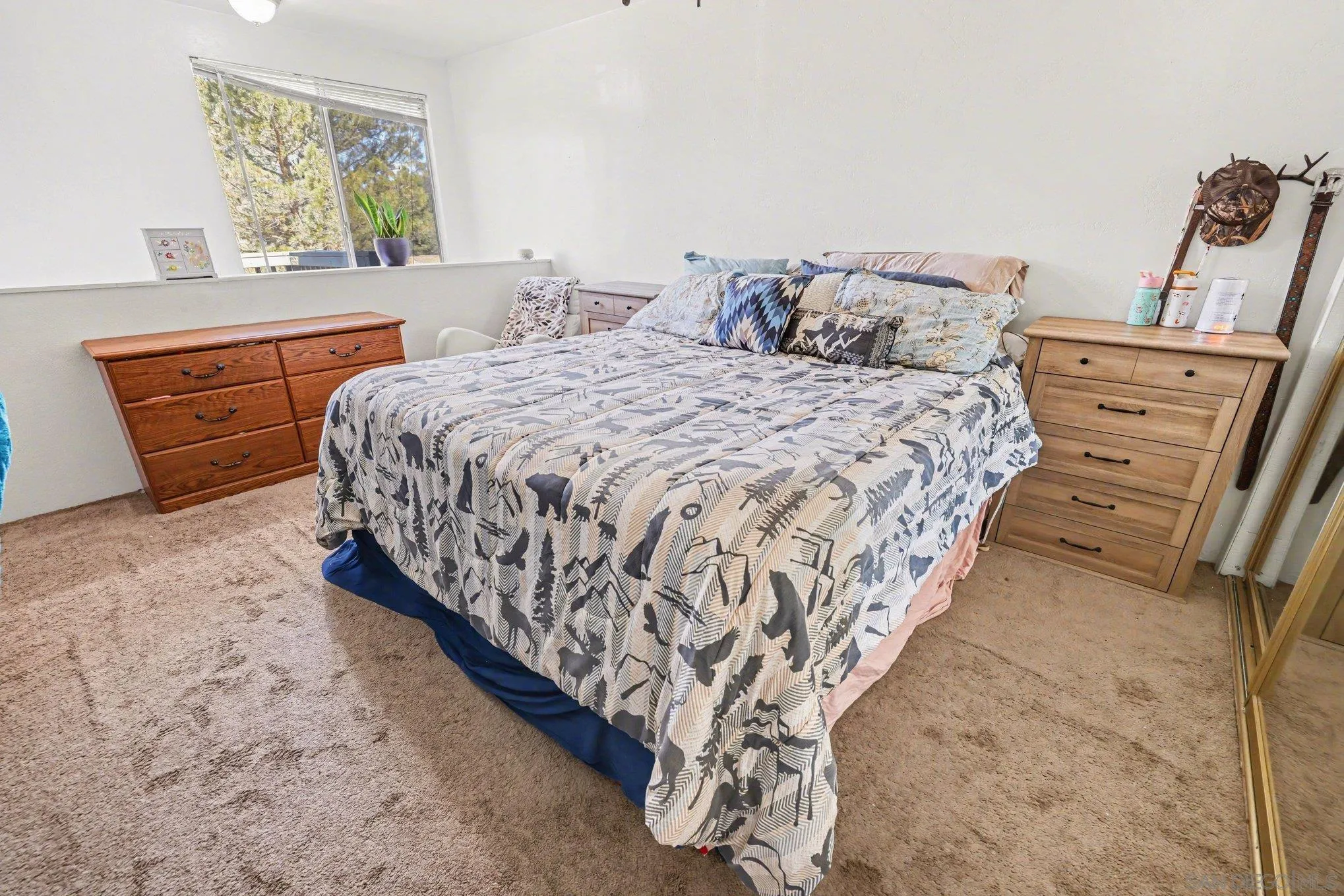 10442 Boulder Creek Road Descanso, CA 91916 - Photo 21 of 42