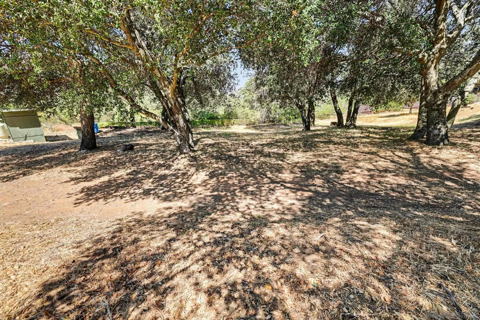 10442 Boulder Creek Road Descanso, CA 91916 - Photo 26 of 42