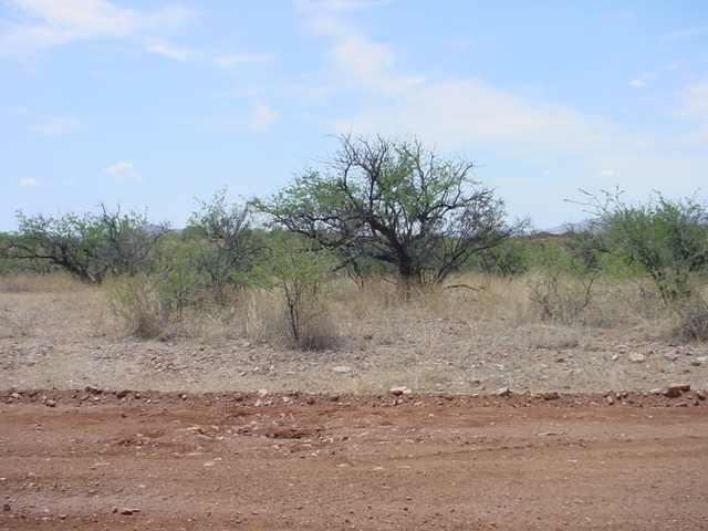 233 Via Ventosa Rio Rico, AZ 85648 - Photo 1 of 4
