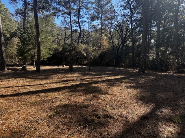 Tbd Lot 40 Tbd Lane Hempstead, TX 77445 - Photo 3 of 5