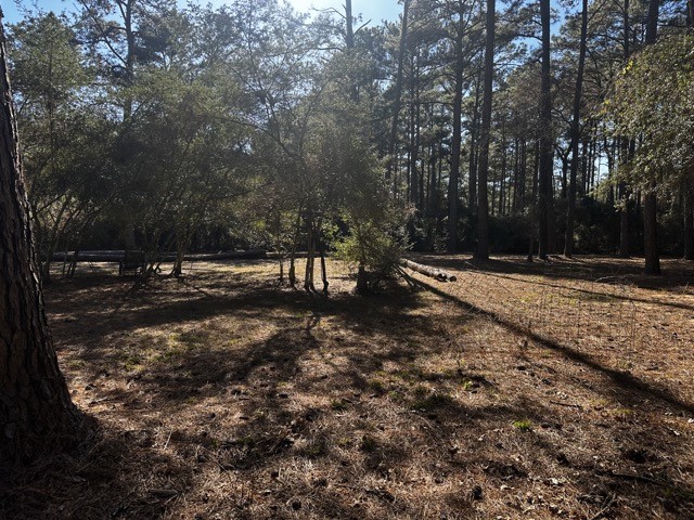 Tbd Lot 40 Tbd Lane Hempstead, TX 77445 - Photo 5 of 5