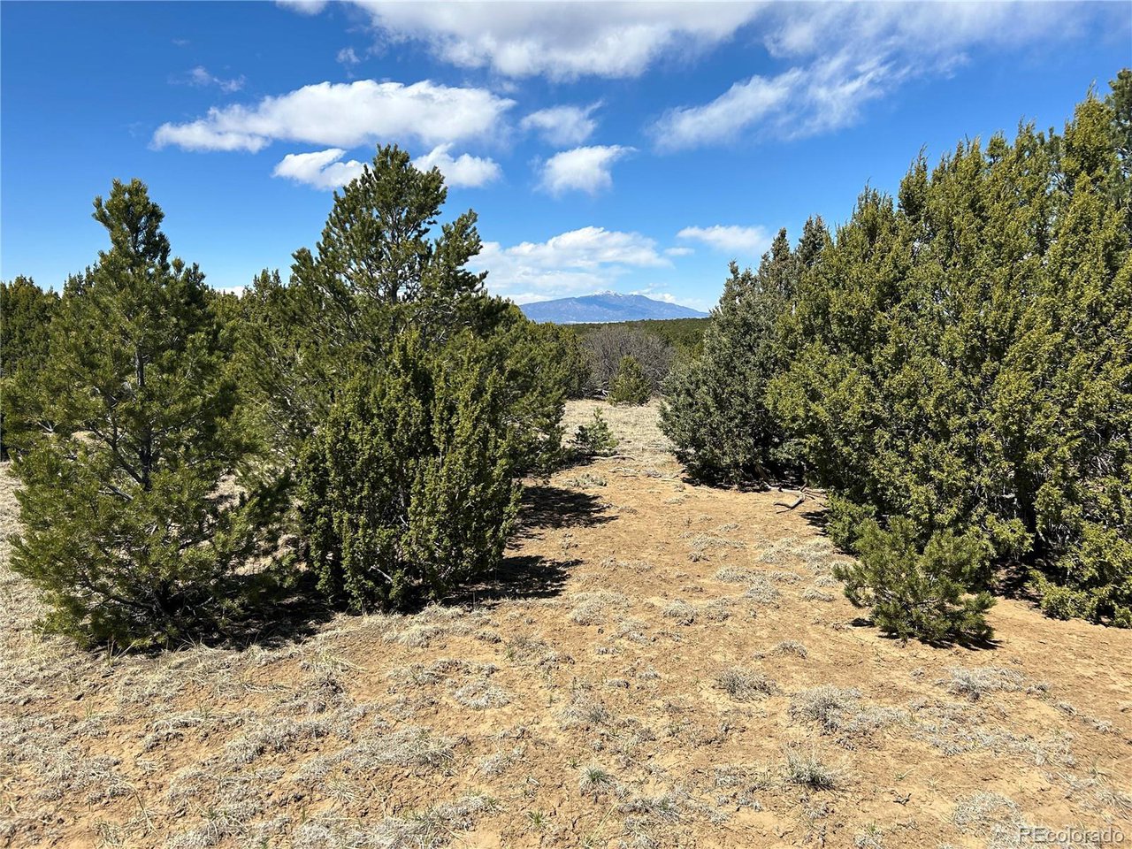 32 Silver Spur Road Walsenburg, CO 81089 - Photo 3 of 13 Gallery Image 3