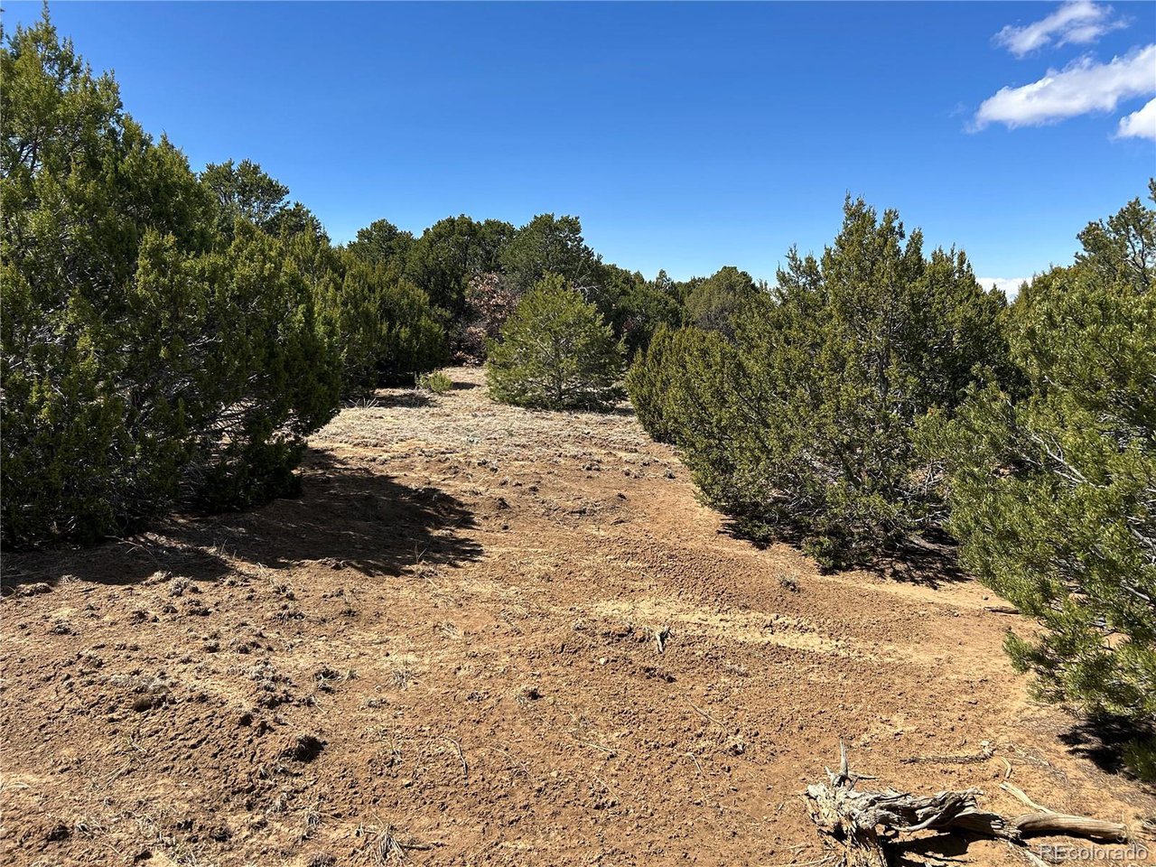 32 Silver Spur Road Walsenburg, CO 81089 - Photo 4 of 13 Gallery Image 4