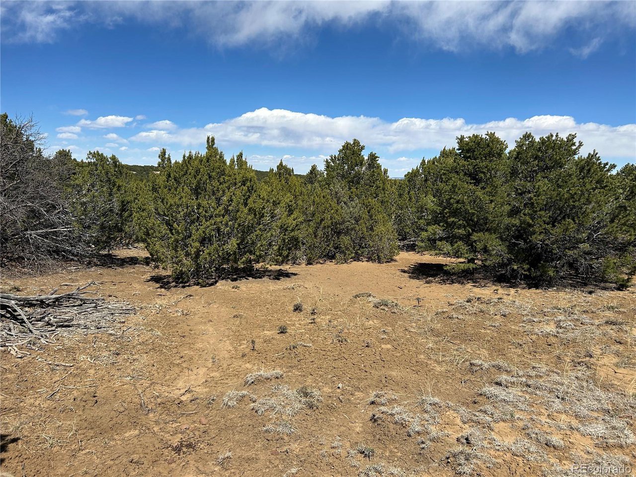 32 Silver Spur Road Walsenburg, CO 81089 - Photo 5 of 13 Gallery Image 5