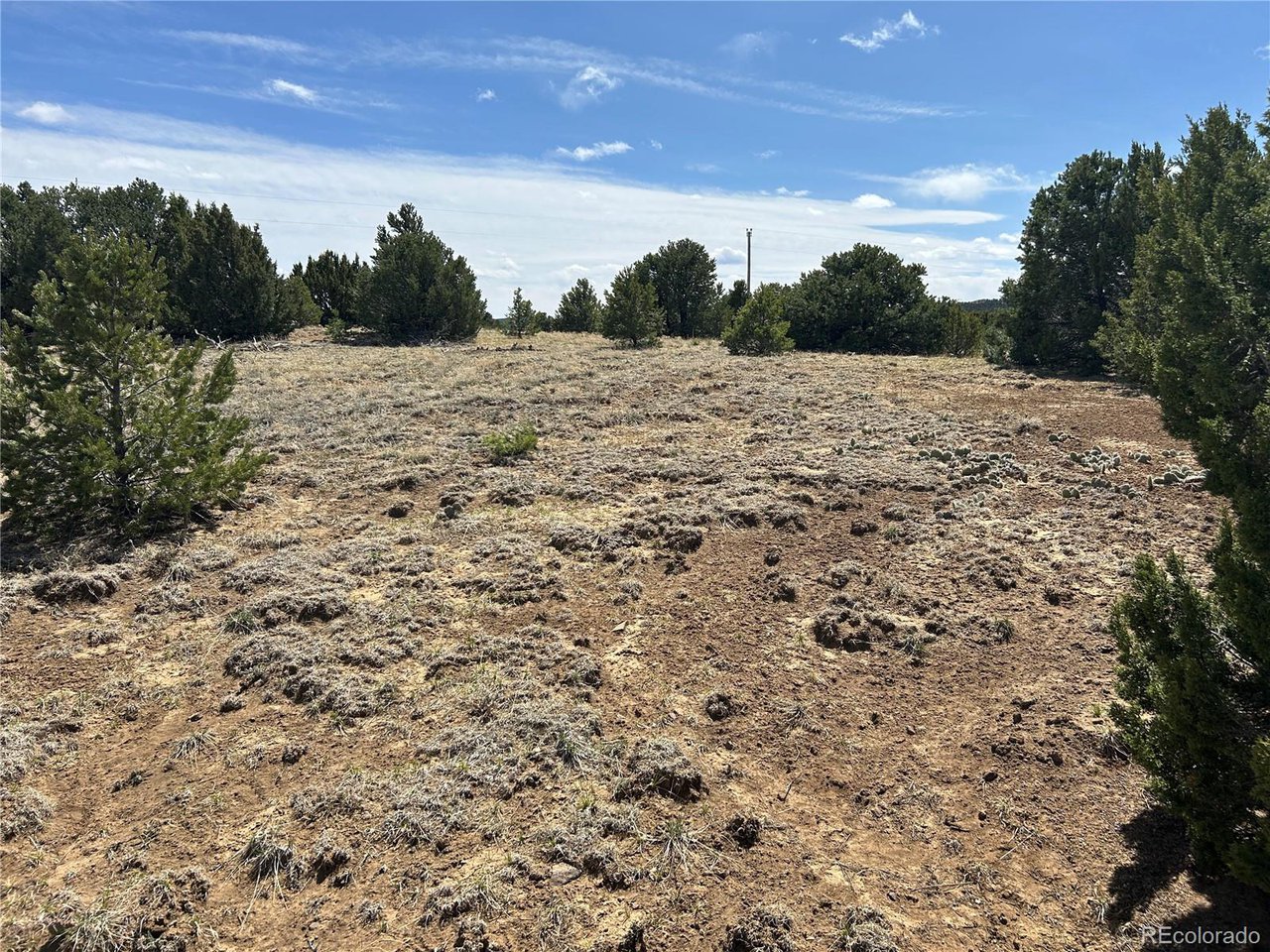 32 Silver Spur Road Walsenburg, CO 81089 - Photo 6 of 13 Gallery Image 6