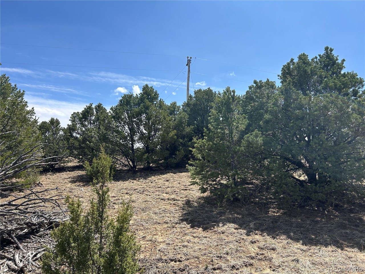 32 Silver Spur Road Walsenburg, CO 81089 - Photo 9 of 13 Gallery Image 9