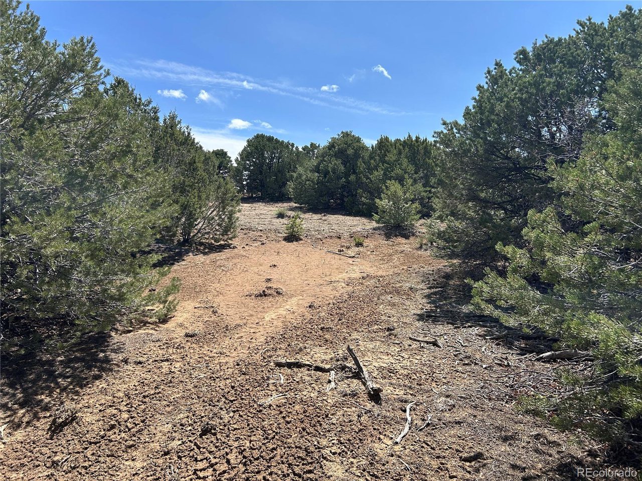 32 Silver Spur Road Walsenburg, CO 81089 - Photo 10 of 13 Gallery Image 10