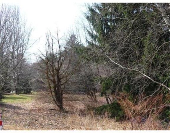 155 Fiskdale Road Brookfield, MA 01506 - Photo 3 of 4