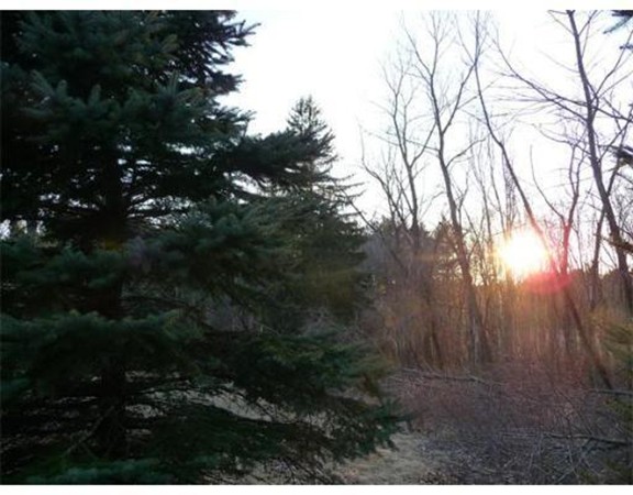 155 Fiskdale Road Brookfield, MA 01506 - Photo 4 of 4