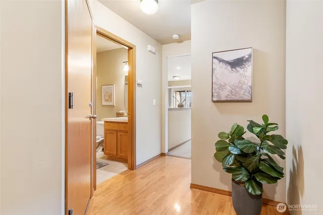 a view interior of the house and wooden floor