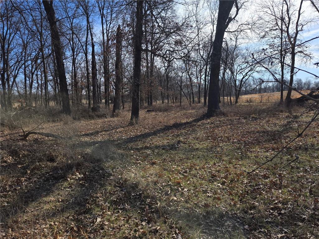 Lot 2 Northwest County Road Archie, MO 64725 - Photo 1 of 5