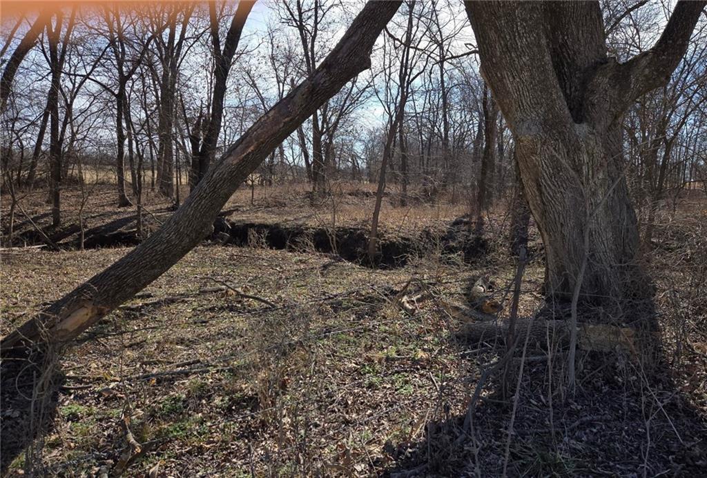 Lot 2 Northwest County Road Archie, MO 64725 - Photo 4 of 5