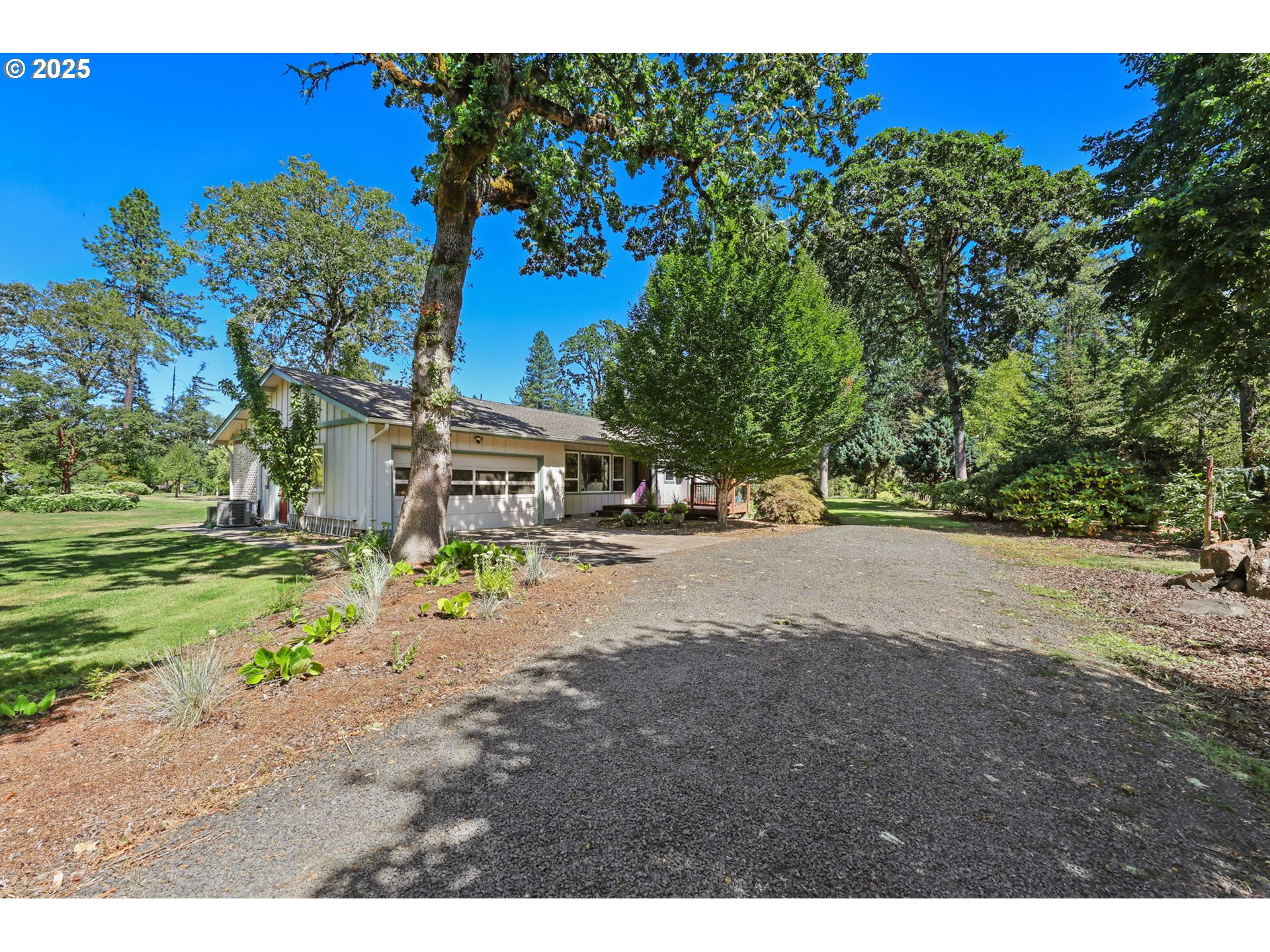 88885 Conrad Road Veneta, OR 97487 - Photo 1 of 47 Backyard