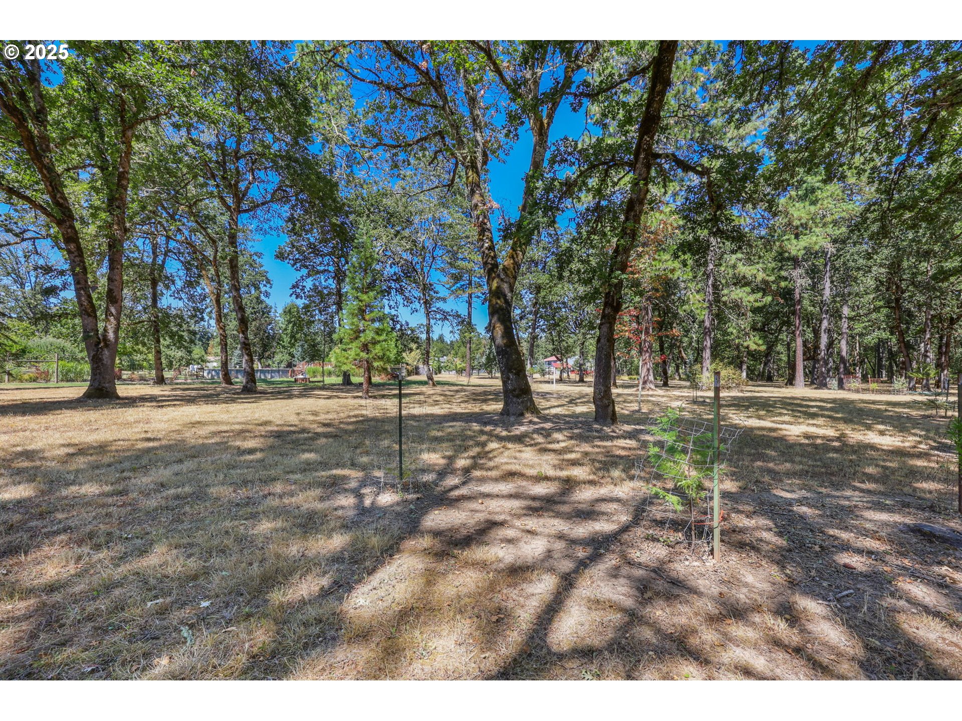 88885 Conrad Road Veneta, OR 97487 - Photo 47 of 47 Gallery Image 47