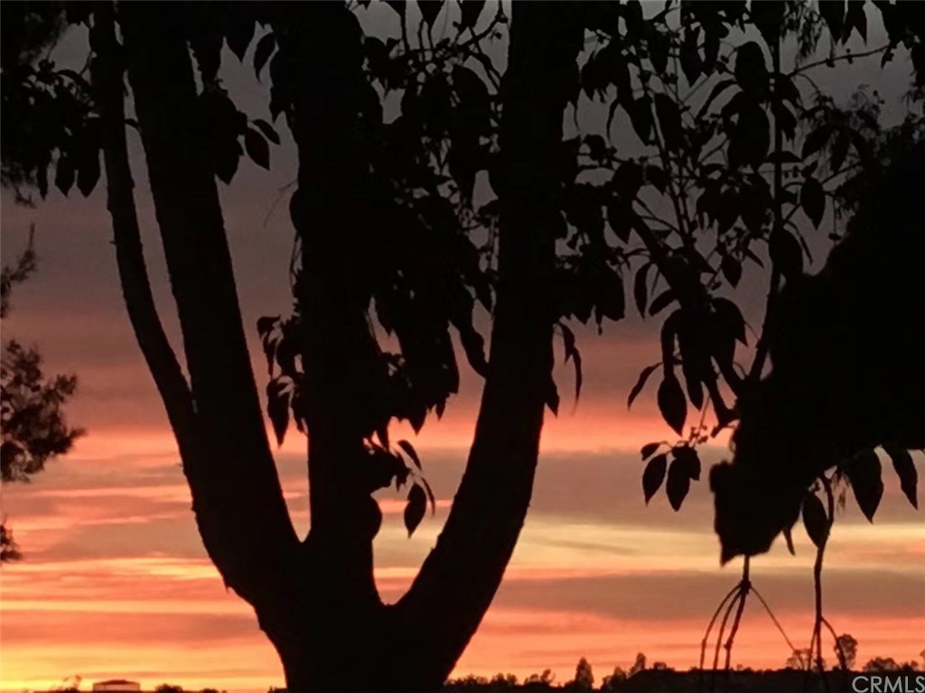 26606 La Roda Mission Viejo, CA 92691 - Photo 22 of 42