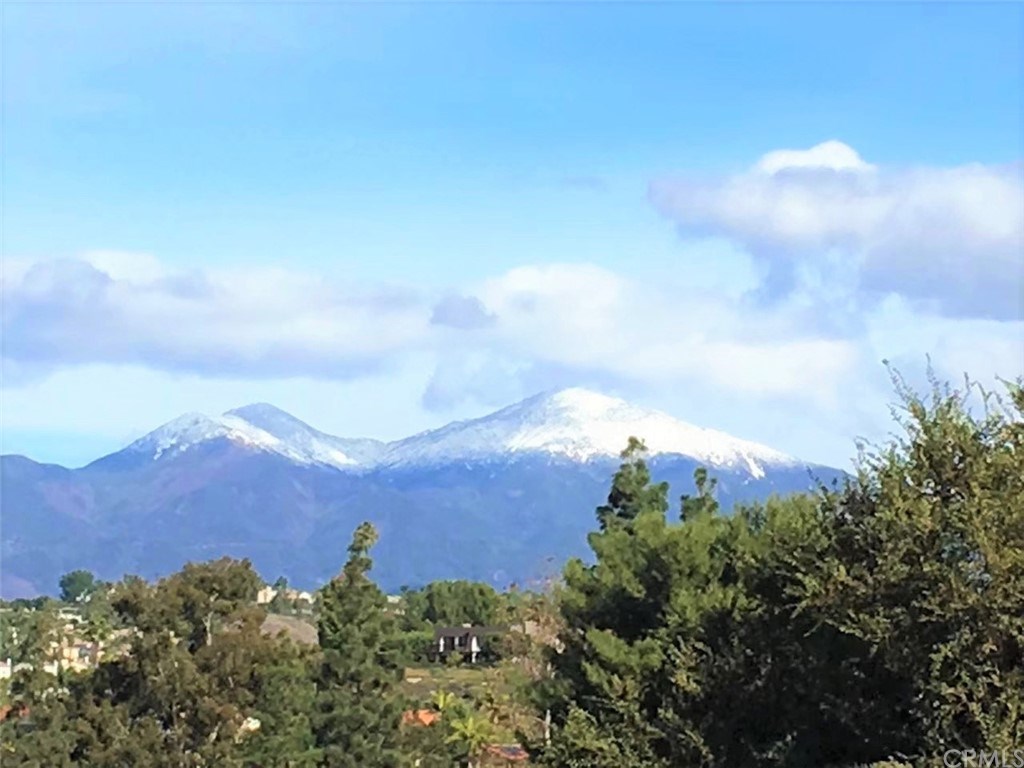 26606 La Roda Mission Viejo, CA 92691 - Photo 34 of 42