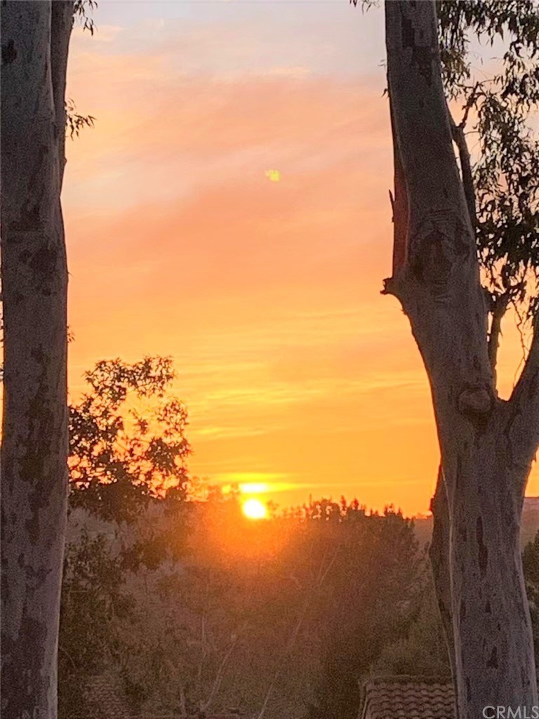 26606 La Roda Mission Viejo, CA 92691 - Photo 36 of 42