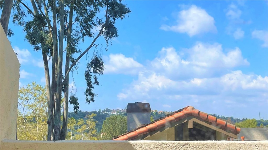 26606 La Roda Mission Viejo, CA 92691 - Photo 5 of 42