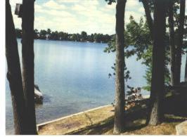 611 Spring Grove Road Stanton, MI 48888 - Photo 4 of 7 Additional Photo