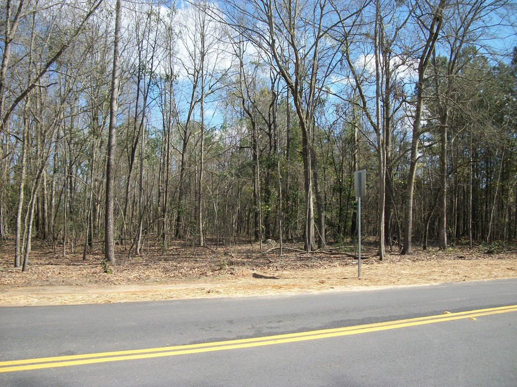 4018 Evans To Locks Road Evans, GA 30809 - Photo 3 of 7 Gallery Image 3