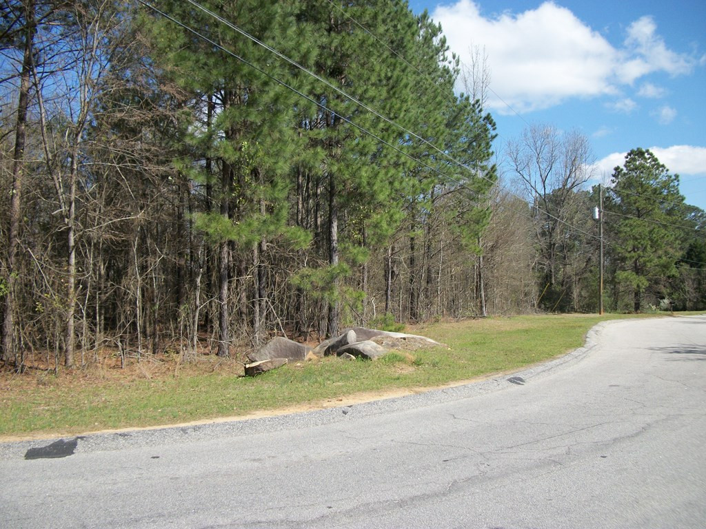 4018 Evans To Locks Road Evans, GA 30809 - Photo 4 of 7 Gallery Image 4