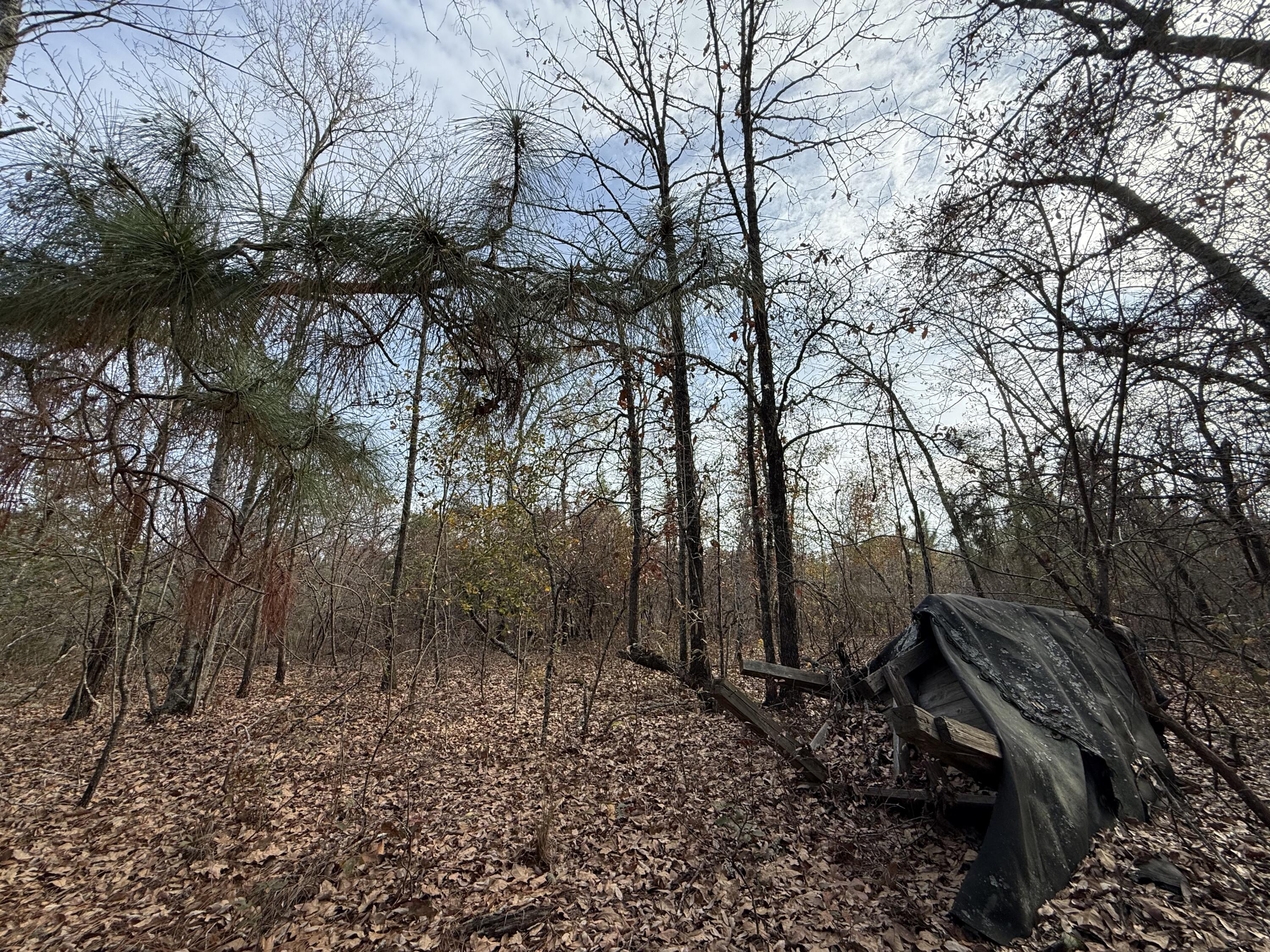 3391 Davis Bridge Road Williston, SC 29853 - Photo 10 of 16 IMG_3951