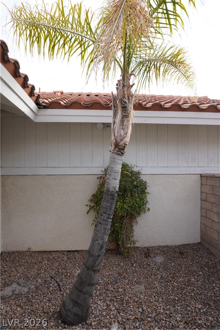 8328 Del Rey Avenue Las Vegas, NV 89117 - Photo 4 of 38 A well-maintained side yard features a graceful palm tree and a charming brick wall.