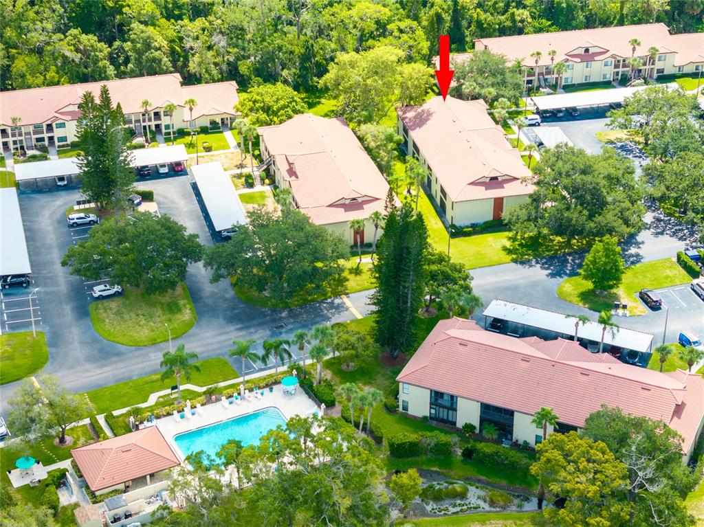 1801 East Lake Road South, Unit 11D Palm Harbor, FL 34685 - Photo 4 of 28