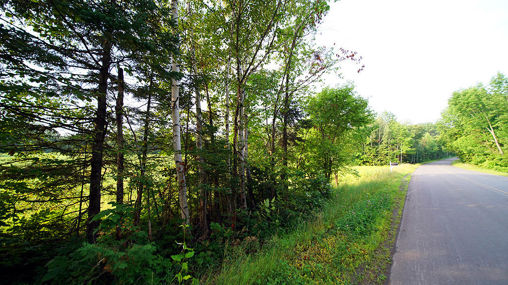 Lot 9-1 New Limerick Road Houlton, ME 04730 - Photo 5 of 40 leisner-maine-land-5