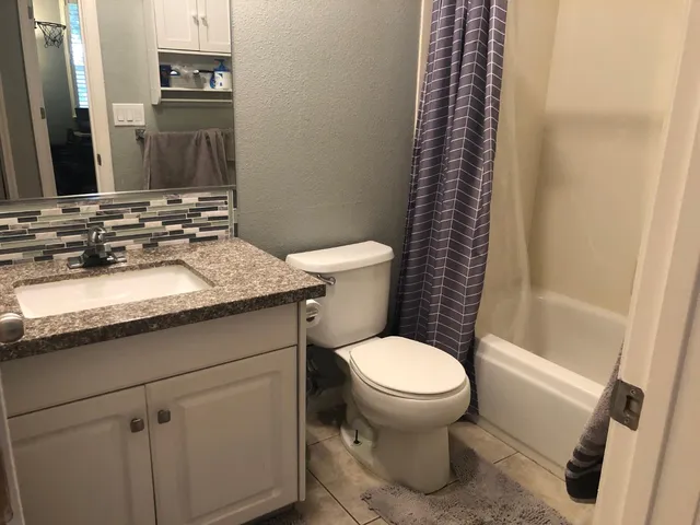 a bathroom with a sink and a toilet