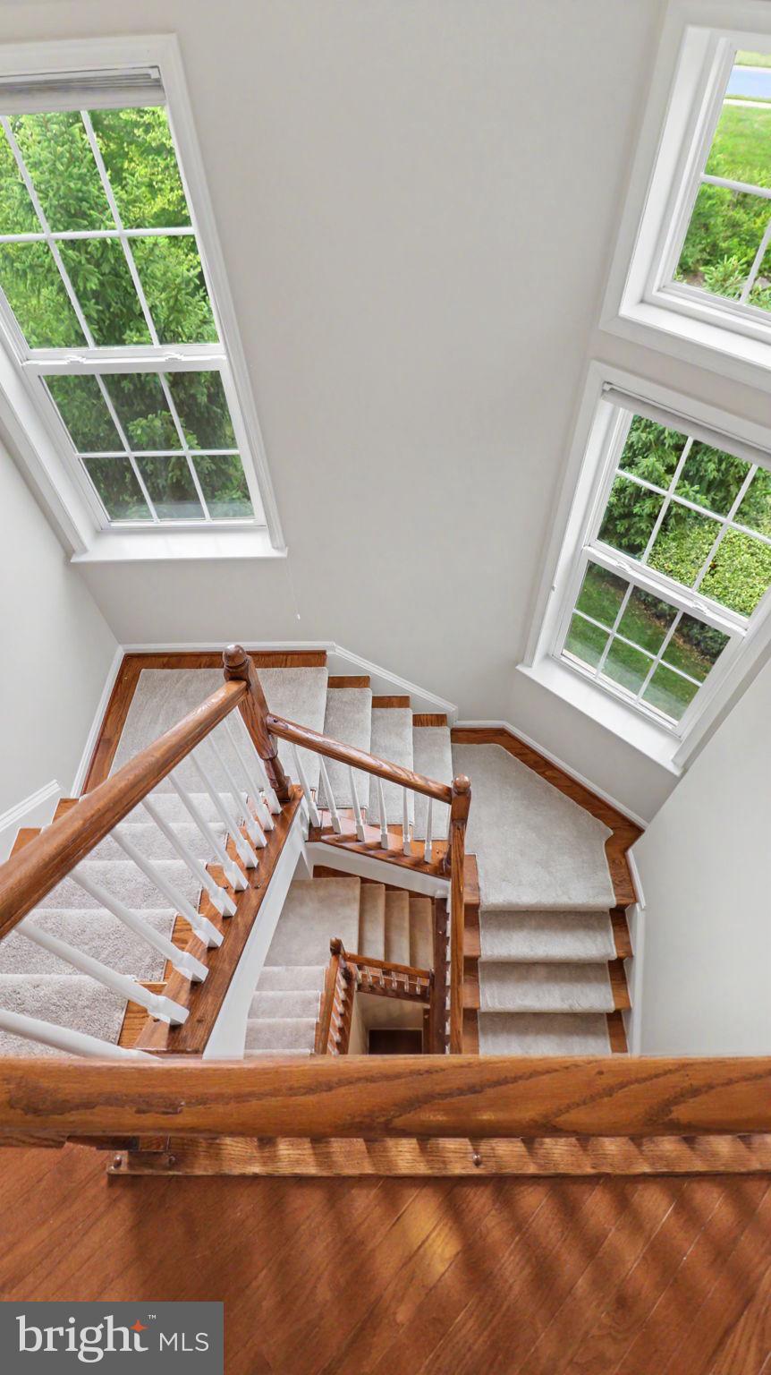 42371 Trellis Square Brambleton, VA 20148 - Photo 48 of 70 Elegant staircase with natural light.