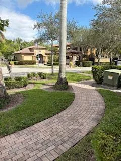 a view of a park with large trees