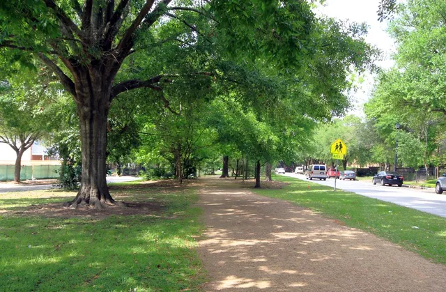 a view of a park with tree s