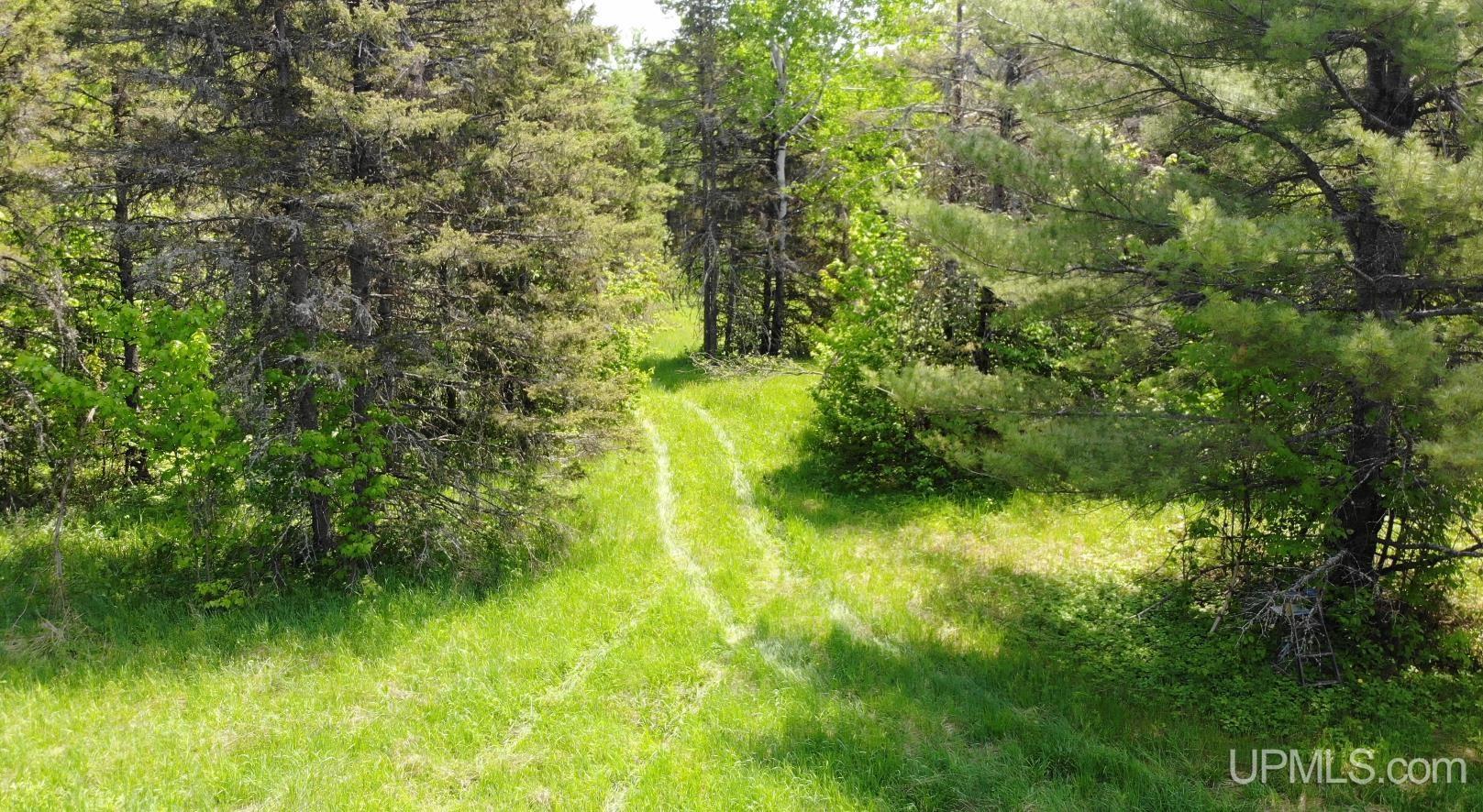 1 Larson Road Bruce Crossing, MI 49912 - Photo 33 of 34