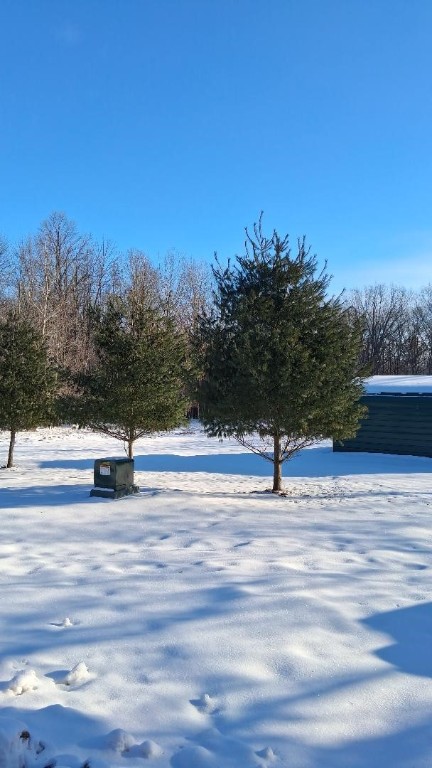 S825 Tower Road Boyd, WI 54726 - Photo 2 of 11